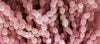 Mold and Your Health